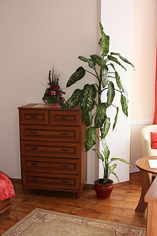 Olymp Penzion Komárno Chambre photo